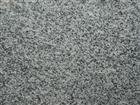 Gray Corumba