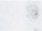 Marble Commun White