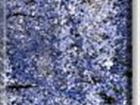Blue Bahia