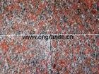 Madam Red Polished Tile(RS-01)