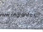 Granite Countertop(CT-04)