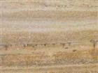 Wooden Vein Sandstone