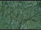 Leaf Green