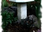 Danby Birdbath