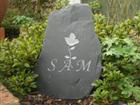 Pet Memorial