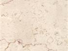 Shell Beige
