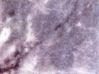 Blue Nuvolato Granite