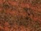 Forest Flame