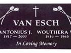 Vanesch