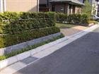 Granite Curbstones