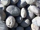 Mexican Beach Pebbles  1
