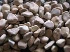 Tumbled Pebbles  Honey Gold