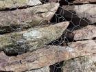 Wallstone  2-5 Fieldstone Close Up