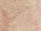 Creamy Rose