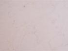 Cappuccino Marble (Beige Marble)