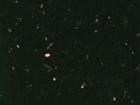 Black Galaxy