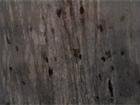 Black Rain
