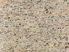 Giblee Beige