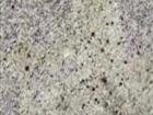 Kashmir White