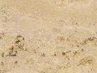 Jura Beige