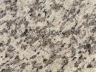 Tiger Skin White Granite