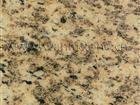 Tiger Skin Yellow Granite