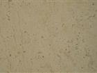 Beige Fossil limestone Brush