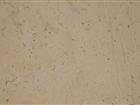 Beige Fossil limestone Honed